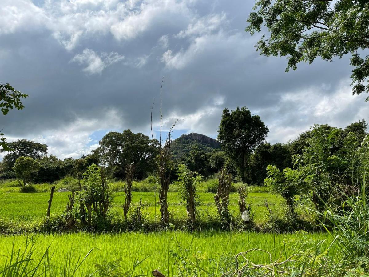 Thilina Homestay Sigiriya Exterior photo